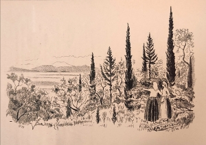 Μάρκου Ζαβιτσιάνου, Αγροτικό τοπίο Κέρκυρας, χαρακτικό τυπωμένο στην Κερκυραϊκή Ανθολογία, 1916.