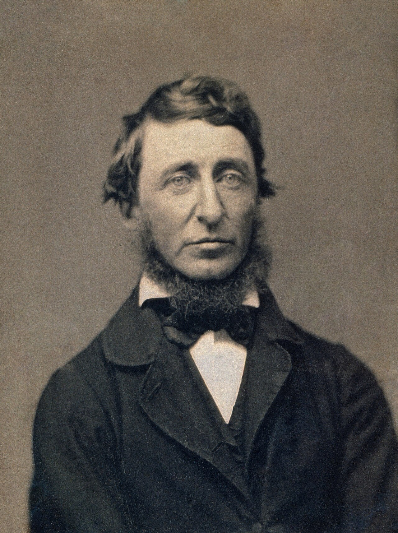 Henry David Thoreau Restored