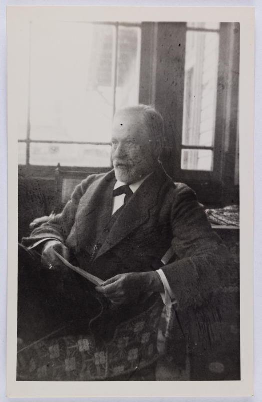 freud 1917