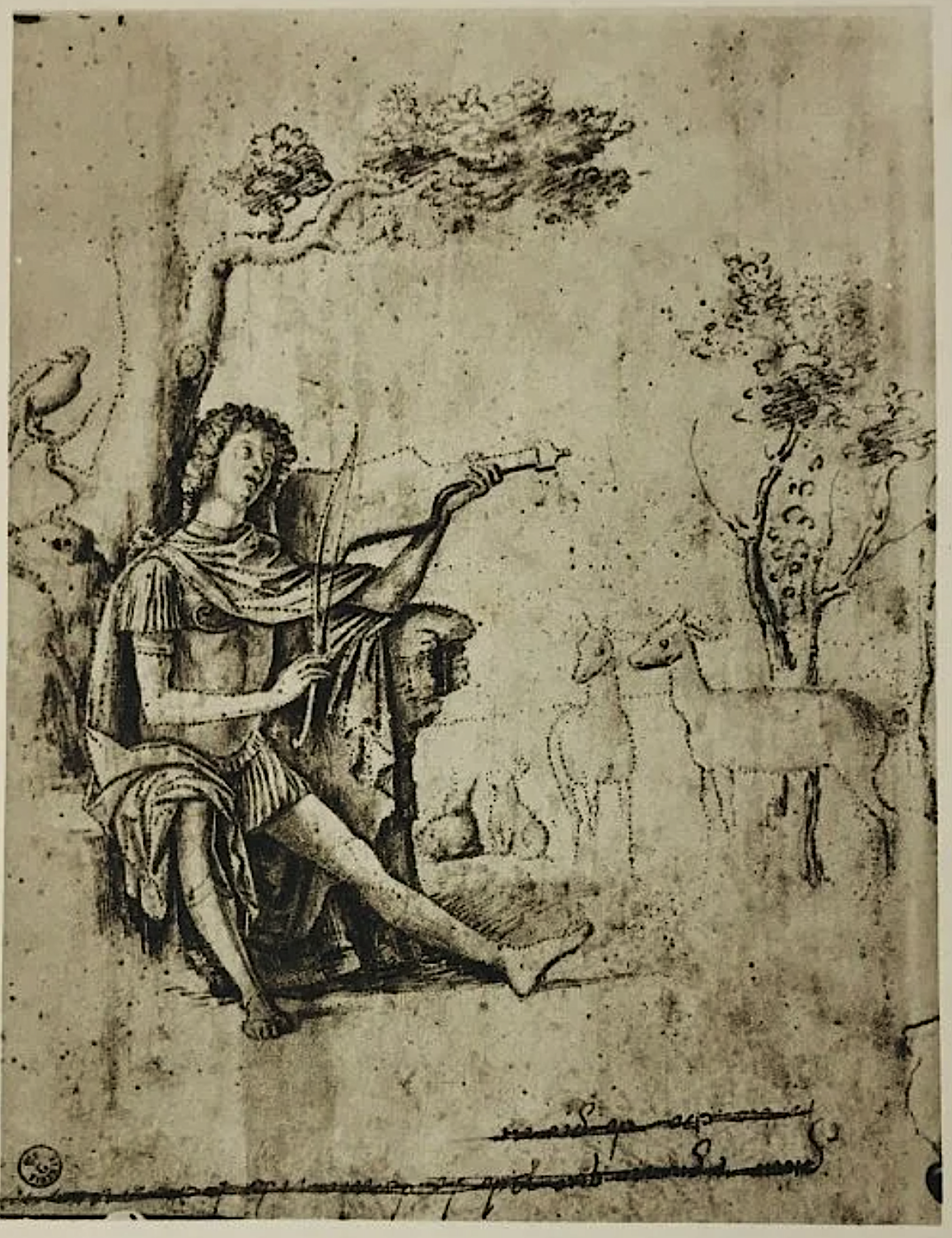 orfeo Cima da Conegliano