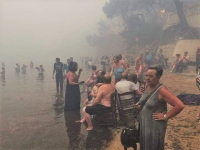 23 &Iota;&omicron;&upsilon;&lambda;ί&omicron;&upsilon; 2018, &Alpha;&rho;&gamma;&upsilon;&rho;ά &Alpha;&kappa;&tau;ή, &Mu;ά&tau;&iota;, &Alpha;&tau;&tau;&iota;&kappa;ή. &Kappa;ά&tau;&omicron;&iota;&kappa;&omicron;&iota; &kappa;&alpha;&tau;&alpha;&phi;&epsilon;ύ&gamma;&omicron;&upsilon;&nu; &sigma;&tau;&eta; &theta;ά&lambda;&alpha;&sigma;&sigma;&alpha; &gamma;&iota;&alpha; &nu;&alpha; &gamma;&lambda;&iota;&tau;ώ&sigma;&omicron;&upsilon;&nu; &alpha;&pi;ό &tau;&eta; &phi;&omega;&tau;&iota;ά. 
