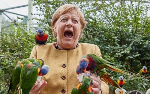 Σεπτέμβριος 2021, πάρκο πτηνών Μάρλοβ, Μεκλεμβούργο-Πομερανία. Παπαγάλος δαγκώνει την αποχωρούσα καγκελάριο Μέρκελ στη διάρκεια της προεκλογικής περιοδείας στη χώρα της. 