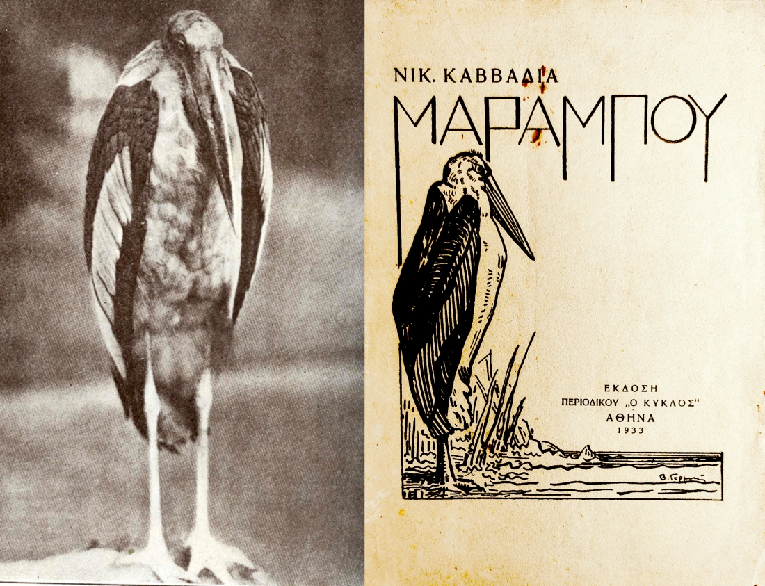 Μαραμπού της Αφρικής από τον τόμο του Ελευθερουδάκη, Ο βίος των ζώων. Και πλάι, το εξώφυλλο της α’ έκδοσης του Μαραμπού του Νίκου Καββαδία, με σχέδιο του πτηνού από τον Β. Γερμενή. 
