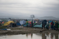 &Epsilon;&iota;&delta;&omicron;&mu;έ&nu;&eta; 12/03/2016. &Pi;&rho;ό&sigma;&phi;&upsilon;&gamma;&epsilon;&sigmaf; &kappa;&alpha;&iota; &mu;&epsilon;&tau;&alpha;&nu;ά&sigma;&tau;&epsilon;&sigmaf; &kappa;&alpha;&tau;&alpha;&sigma;&kappa;&eta;&nu;ώ&nu;&omicron;&upsilon;&nu; &sigma;&tau;&eta; &lambda;ά&sigma;&pi;&eta;. &Tau;&omicron; &kappa;&rho;ά&tau;&omicron;&sigmaf; &alpha;&pi;&omicron;&upsilon;&sigma;&iota;ά&zeta;&epsilon;&iota; &epsilon;&mu;&phi;&alpha;&tau;&iota;&kappa;ά.