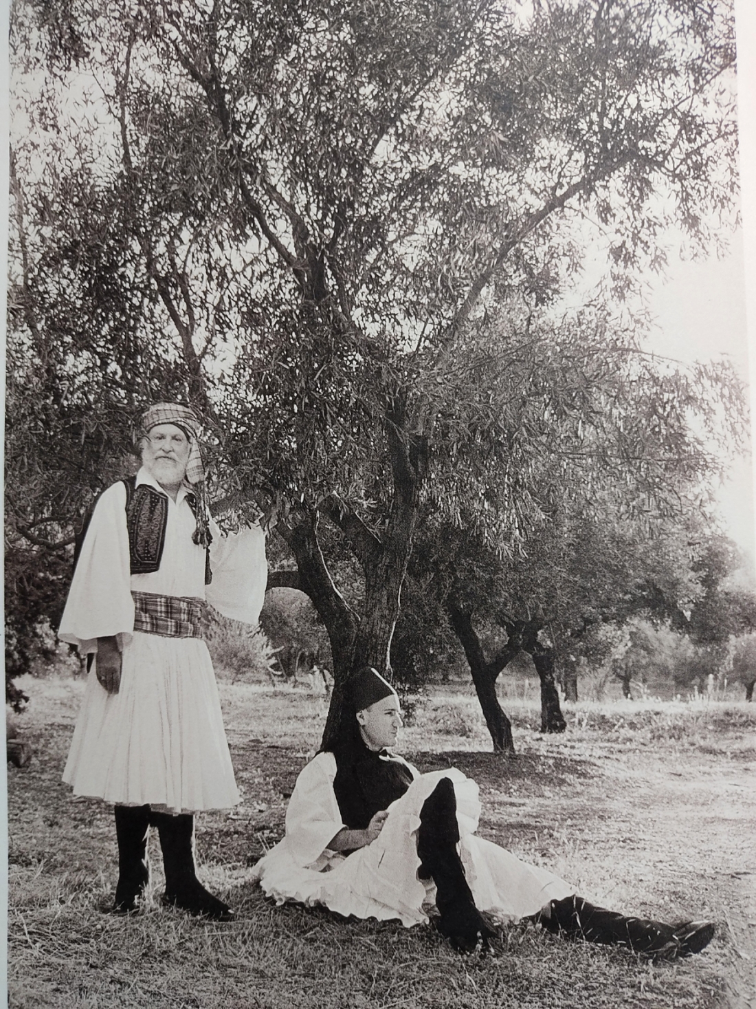 2004. &Omicron; &Delta;&iota;&omicron;&nu;ύ&sigma;&eta;&sigmaf; &Sigma;&alpha;&beta;&beta;ό&pi;&omicron;&upsilon;&lambda;&omicron;&sigmaf; &phi;&omega;&tau;&omicron;&gamma;&rho;&alpha;&phi;ί&zeta;&epsilon;&tau;&alpha;&iota; &mu;&epsilon; &phi;&omicron;&upsilon;&sigma;&tau;&alpha;&nu;έ&lambda;&alpha; &Pi;&epsilon;&lambda;&omicron;&pi;&omicron;&nu;&nu;ή&sigma;&omicron;&upsilon;, &alpha;&pi;ό &tau;&eta;&nu; &Kappa;&alpha;&lambda;&lambda;&iota;ό&pi;&eta;, &gamma;&iota;&alpha; &tau;&eta;&nu; έ&kappa;&delta;&omicron;&sigma;&eta;: &Pi;&alpha;&rho;&alpha;&delta;&omicron;&sigma;&iota;&alpha;&kappa;έ&sigmaf; &phi;&omicron;&rho;&epsilon;&sigma;&iota;έ&sigmaf;. &Lambda;ύ&kappa;&epsilon;&iota;&omicron;&nu; &tau;&omega;&nu; &Epsilon;&lambda;&lambda;&eta;&nu;ί&delta;&omega;&nu; (&Phi;&epsilon;&rho;&epsilon;&nu;ί&kappa;&eta;, 2004, Ί&delta;&rho;&upsilon;&mu;&alpha; &Sigma;&tau;&alpha;ύ&rho;&omicron;&sigmaf; &Sigma;. &Nu;&iota;ά&rho;&chi;&omicron;&sigmaf;).  