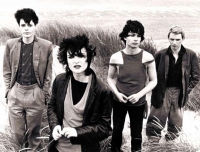 Kaleidoscope. &Tau;&omicron; &epsilon;&xi;ώ&phi;&upsilon;&lambda;&lambda;&omicron; &tau;&omicron;&upsilon; &delta;ί&sigma;&kappa;&omicron;&upsilon; &tau;&omega;&nu; Siouxsie and the Banshees. 