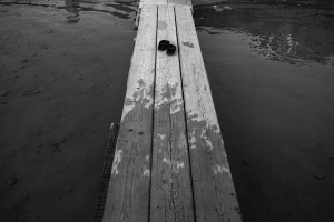 Έ&chi;&omicron;&upsilon;&mu;&epsilon; &pi;&rho;&omicron; &pi;&omicron;&lambda;&lambda;&omicron;ύ &pi;&epsilon;&rho;ά&sigma;&epsilon;&iota; &tau;&omicron;&nu; &Rho;&omicron;&upsilon;&beta;ί&kappa;&omega;&nu;&alpha;, έ&chi;&omicron;&upsilon;&mu;&epsilon; &alpha;&phi;ή&sigma;&epsilon;&iota; &pi;ί&sigma;&omega; &tau;&omicron; &delta;ό&gamma;&mu;&alpha; &tau;&eta;&sigmaf; &delta;&iota;ά&kappa;&rho;&iota;&sigma;&eta;&sigmaf; &mu;&omicron;&rho;&phi;ή&sigmaf; &kappa;&alpha;&iota; &pi;&epsilon;&rho;&iota;&epsilon;&chi;&omicron;&mu;έ&nu;&omicron;&upsilon;. &Tau;&alpha; &kappa;&epsilon;ί&mu;&epsilon;&nu;&alpha; &sigma;&tau;&rho;ώ&nu;&omicron;&upsilon;&nu; &kappa;&alpha;&iota; &sigma;&upsilon;&nu;ά&mu;&alpha; &pi;&epsilon;&rho;&pi;&alpha;&tau;&omicron;ύ&nu; &tau;&omicron;&nu; &delta;&rho;ό&mu;&omicron; &pi;&omicron;&upsilon; &tau;&alpha; ί&delta;&iota;&alpha; &alpha;&nu;&omicron;ί&gamma;&omicron;&upsilon;&nu;, &delta;&epsilon;&nu; &alpha;&kappa;&omicron;&lambda;&omicron;&upsilon;&theta;&omicron;ύ&nu; &mu;&iota;&alpha; &pi;&rho;&omicron;&kappa;&alpha;&theta;&omicron;&rho;&iota;&sigma;&mu;έ&nu;&eta; &kappa;&omicron;ί&tau;&eta; (ή &kappa;&iota; &alpha;&nu; &phi;&alpha;ί&nu;&epsilon;&tau;&alpha;&iota; &pi;&omega;&sigmaf; &tau;&omicron; &kappa;ά&nu;&omicron;&upsilon;&nu;, &theta;&alpha; &xi;&epsilon;&sigma;&tau;&rho;&alpha;&tau;ί&sigma;&omicron;&upsilon;&nu; &kappa;ά&pi;&omicron;&tau;&epsilon;, &alpha;&nu; &epsilon;ί&nu;&alpha;&iota; ά&xi;&iota;&alpha; &lambda;ό&gamma;&omicron;&upsilon;), &delta;&iota;ό&tau;&iota; &alpha;&upsilon;&tau;&omicron;&kappa;&alpha;&theta;&omicron;&rho;ί&zeta;&omicron;&nu;&tau;&alpha;&iota;, &delta;&epsilon;&nu; &epsilon;&tau;&epsilon;&rho;&omicron;&kappa;&alpha;&theta;&omicron;&rho;ί&zeta;&omicron;&nu;&tau;&alpha;&iota;.