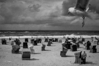 Sylt, &Beta;ό&rho;&epsilon;&iota;&alpha; &Theta;ά&lambda;&alpha;&sigma;&sigma;&alpha;, 1989.