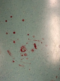 &Alpha;ί&mu;&alpha; &sigma;&tau;&omicron; &delta;ά&pi;&epsilon;&delta;&omicron; &tau;&omicron;&upsilon; &sigma;&upsilon;&rho;&mu;&omicron;ύ, &mu;&epsilon;&tau;ά &tau;&omicron;&nu; &xi;&upsilon;&lambda;&omicron;&delta;&alpha;&rho;&mu;ό &tau;&omicron;&upsilon; &alpha;&lambda;&lambda;&omicron;&delta;&alpha;&pi;&omicron;ύ. 