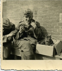 Στρατιώτης του Γ’ Ράιχ, στις αρχές του 1940 (;), σε τρυφερό στιγμιότυπο με γατάκια του δρόμου. Μεταξύ άλλων περιορισμών, το χιτλερικό καθεστώς επέβαλε και την υποχρεωτική ευθανασία των ζώων συνοδείας που ανήκαν σε Εβραίους. Λεπτομέρεια φωτογραφίας.