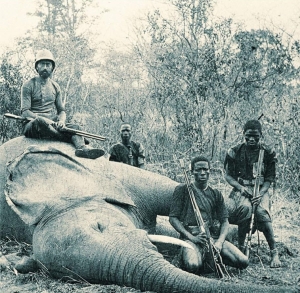 Μακελειό ελεφάντων στην Αφρική. Φωτογραφία του Roger Viollet, που δημοσιεύτηκε στο εξώφυλλο της γαλλικής έκδοσης των Ριζών του ουρανού, από τις εκδόσεις folio. 